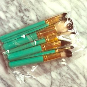 Ashley Tisdale Makeup Brushes